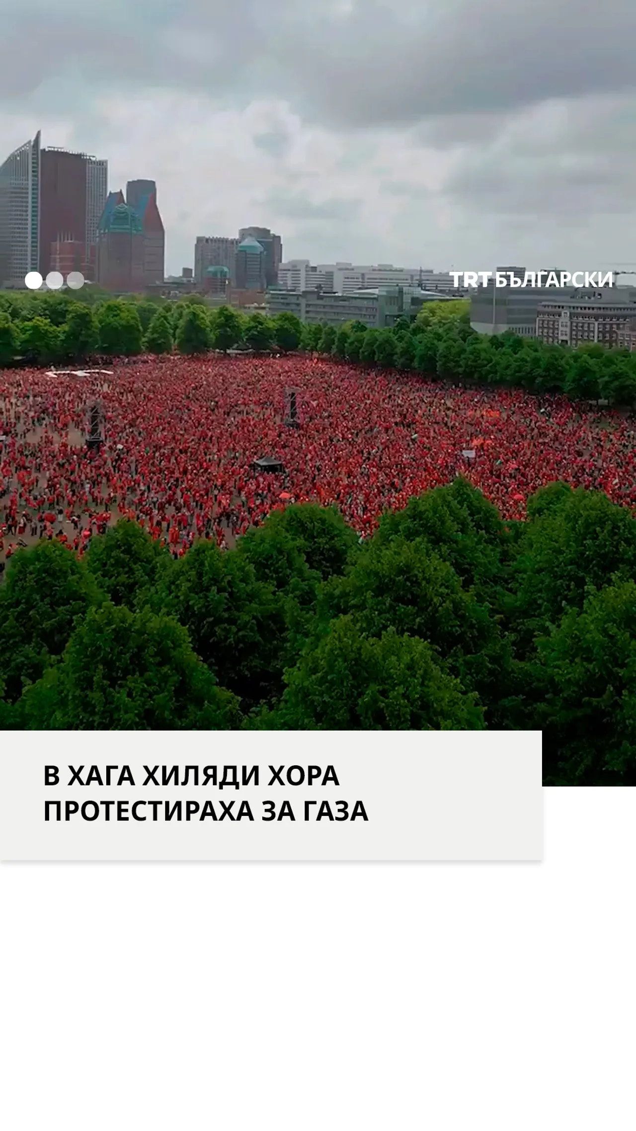 В ХАГА ХИЛЯДИ ХОРА ПРОТЕСТИРАХА ЗА ГАЗА